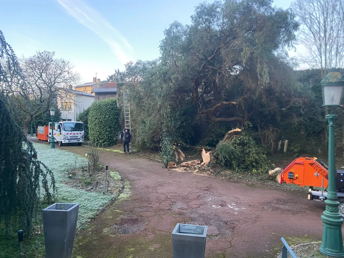Chantier d'élagage — photo 1