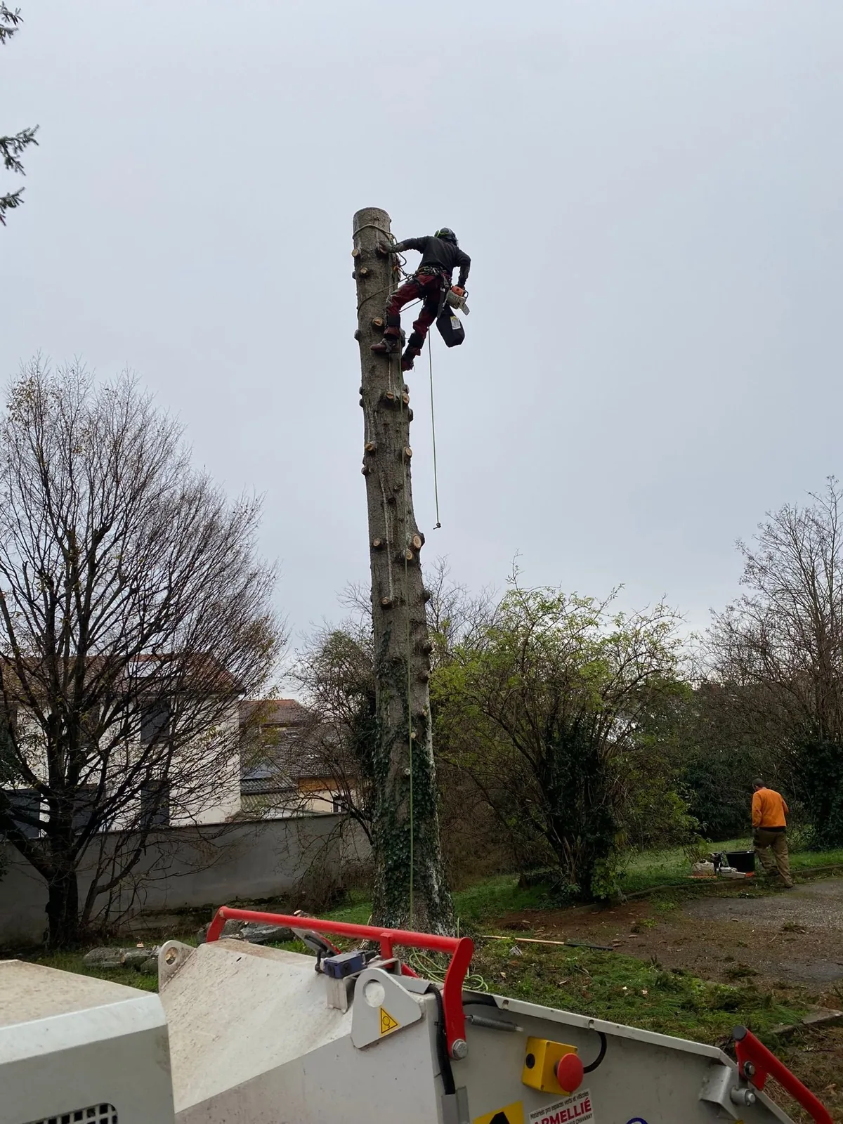 Chantier d'élagage — photo 2