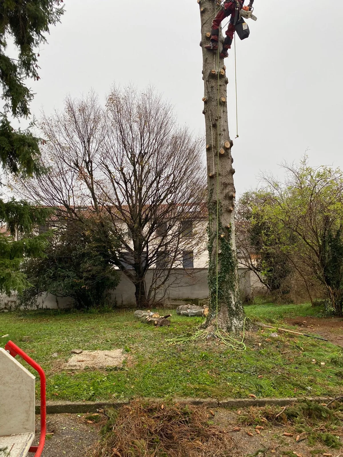 Chantier d'élagage — photo 4
