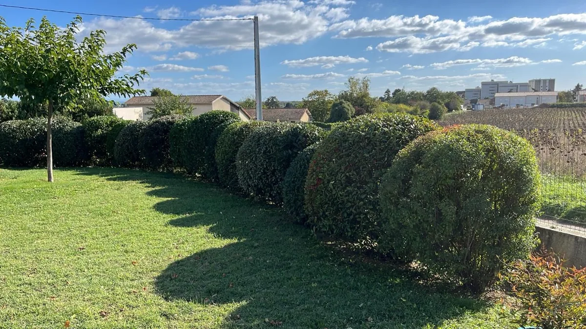 Entretien de jardin — photo 2