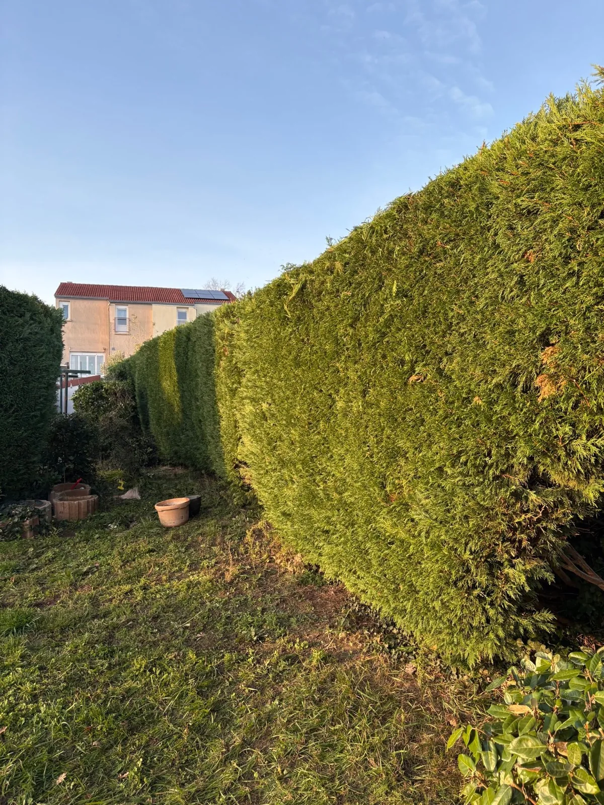 Entretien de jardin — photo 4