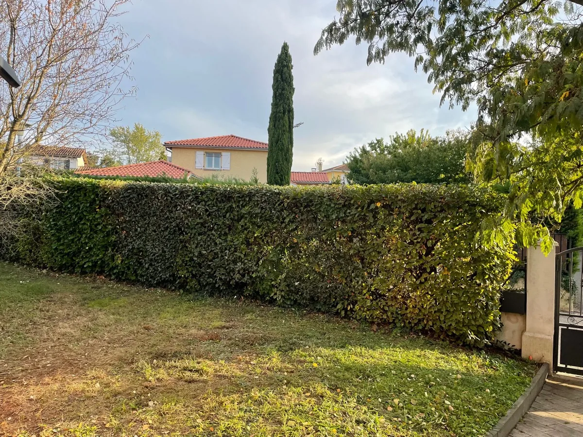 Entretien de jardin — photo 7